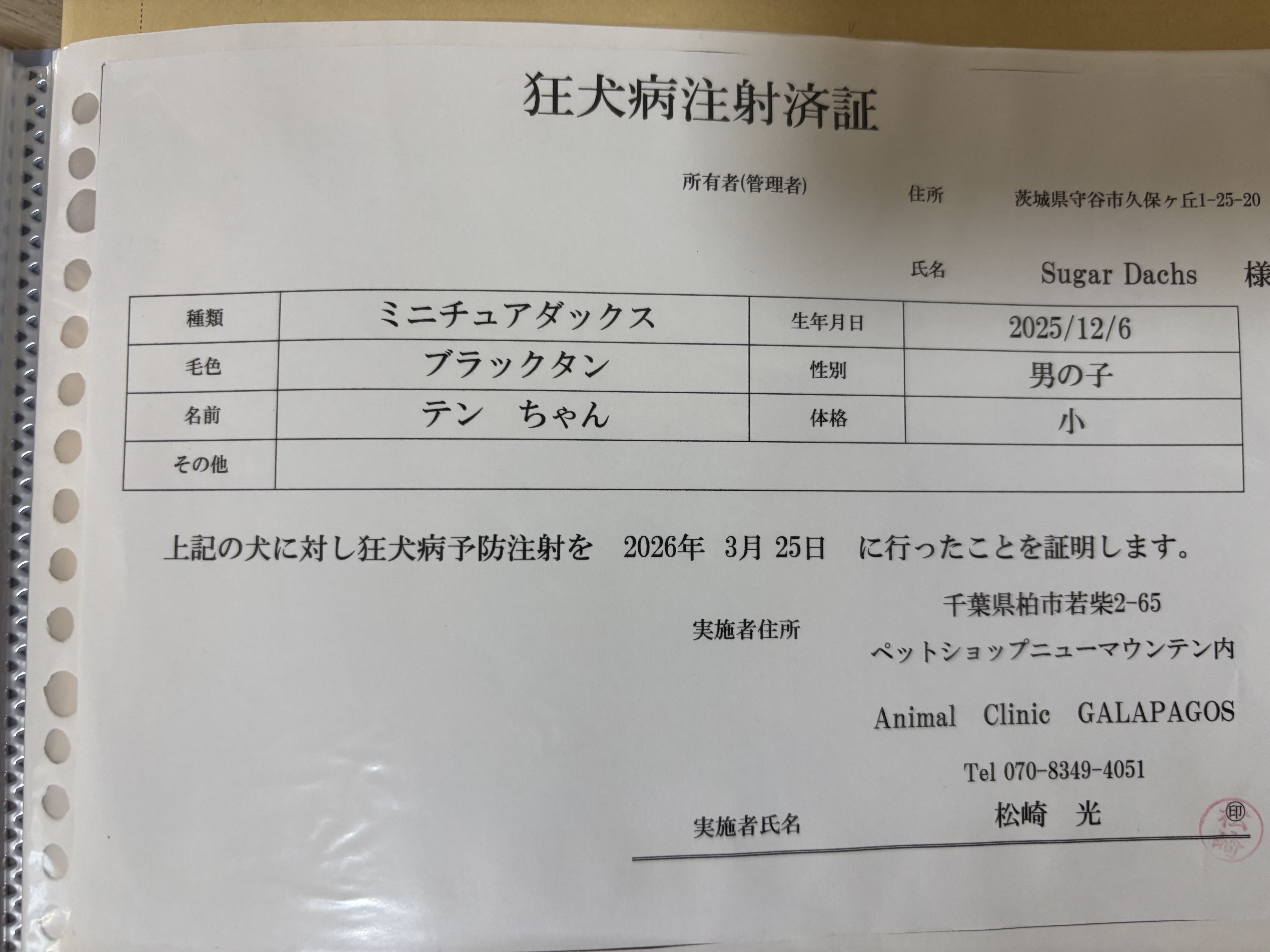 証明書
